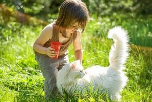 child with cat outside