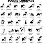 Doggie body language poster