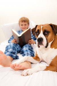 boy n bed with book and boxer