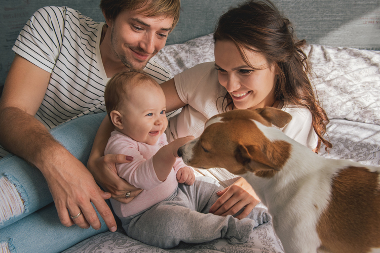 Photo of parents with baby and dog