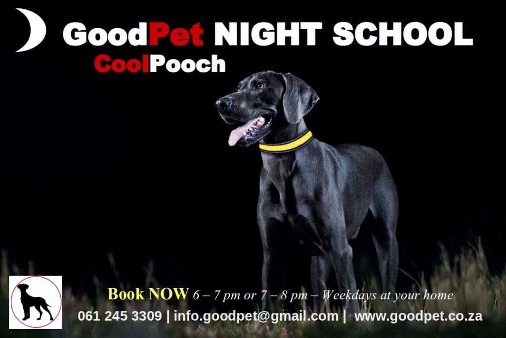 GoodPet Dog Training in Durban - Night School
