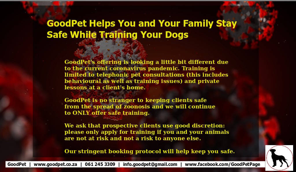 GoodPet's statement regarding dog training offered in a and around Durban area during the covid-19 pandemic