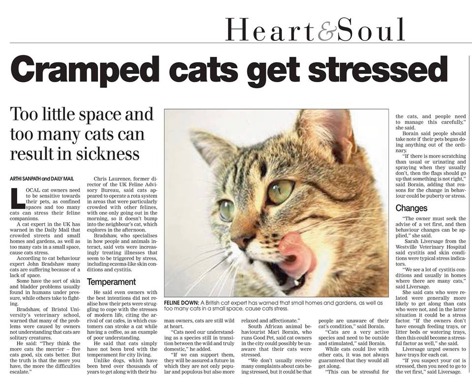 newspaper article cramped cats get stressed