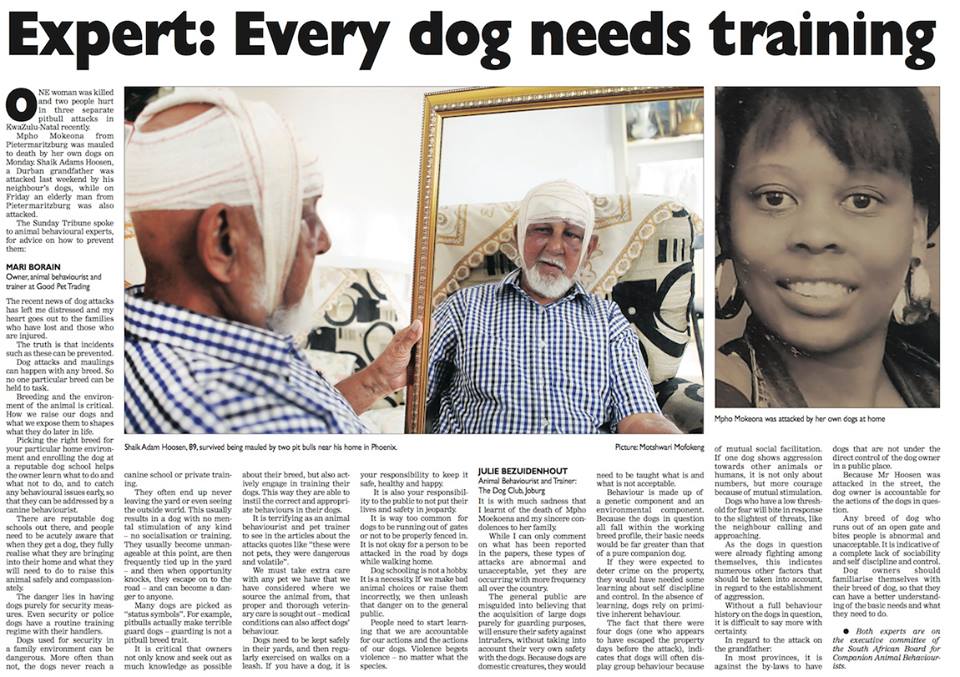 newspaper article: experts talk about dog attack